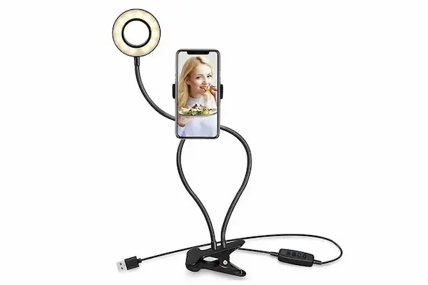 Dual Head Gooseneck Bracket for Continuous Lighting
