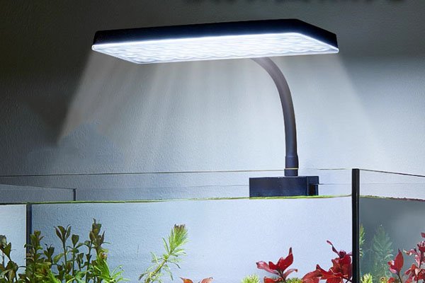 Freshwater Fish Tank Gooseneck Lamp With Secure Clamp